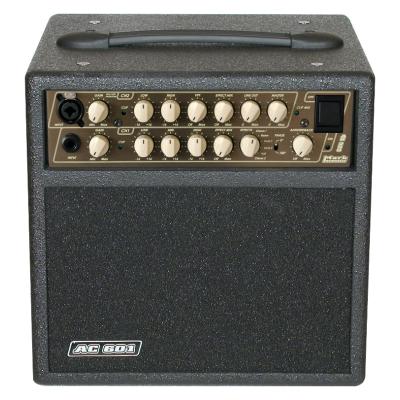 MARKBASS Acoustic 601